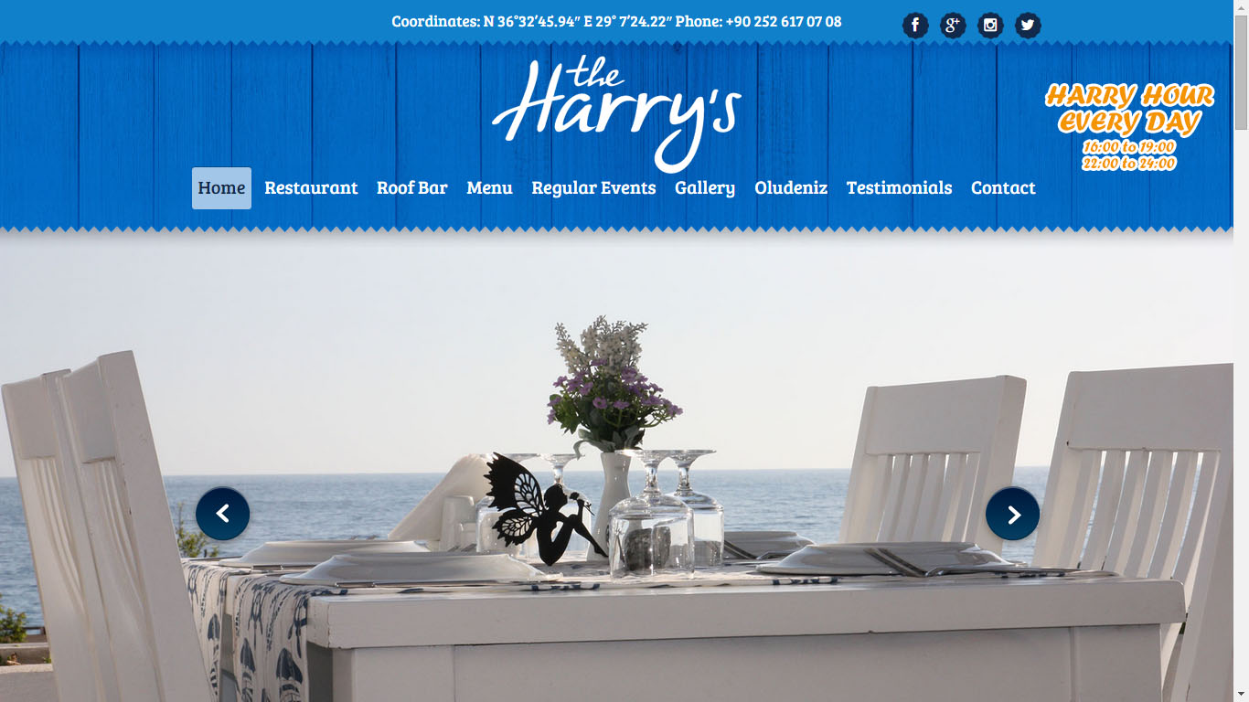Tan ajans Fethiye Harrys Restaurant web tasarımı